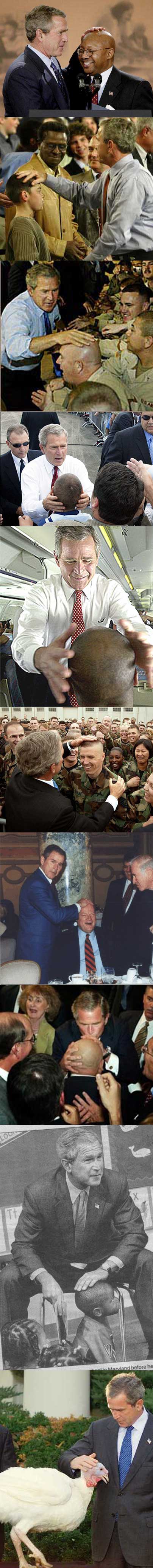 bushmainsurlatete.jpg