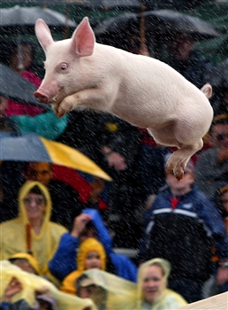 gyeszno.jpg