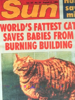 worldbiggestcat.jpg
