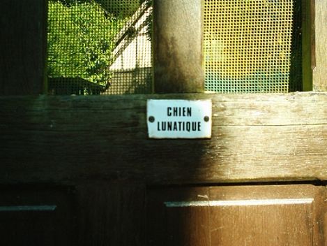 09.jpg