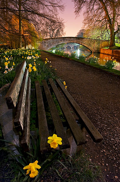 FlowerBench.jpg