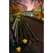 FlowerBench.jpg