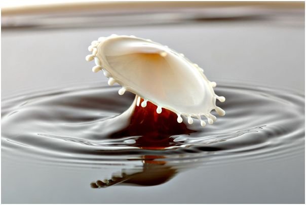 milk_drops_004.jpg