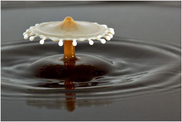 milk_drops_005.jpg