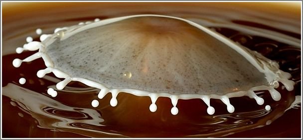 milk_drops_007.jpg