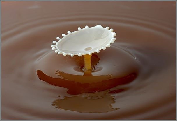 milk_drops_008.jpg