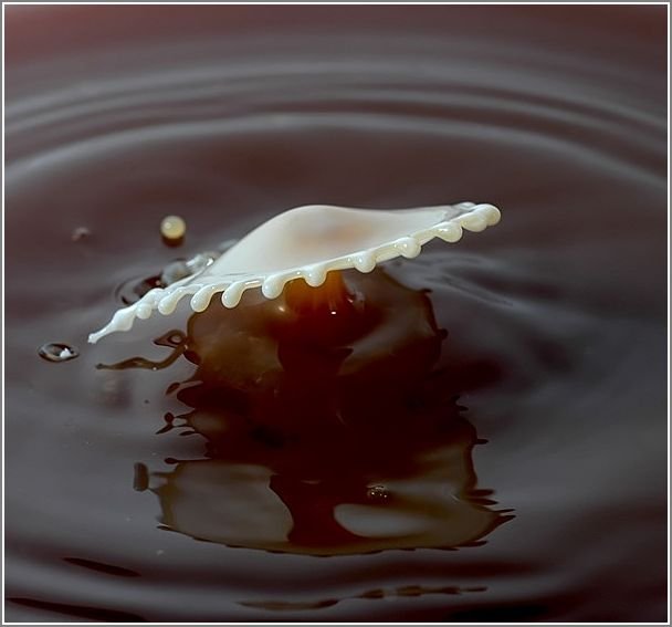 milk_drops_009.jpg