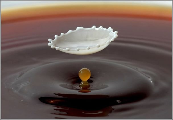 milk_drops_010.jpg