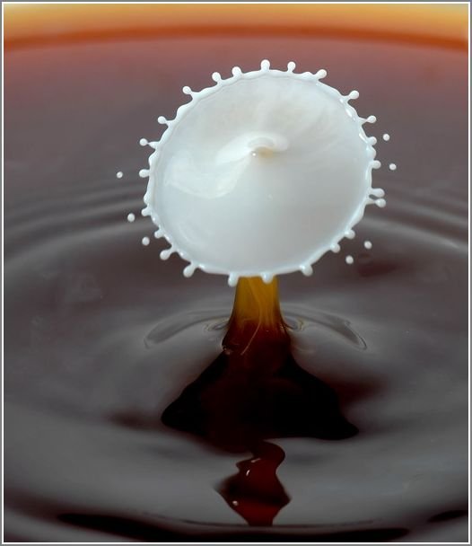 milk_drops_011.jpg