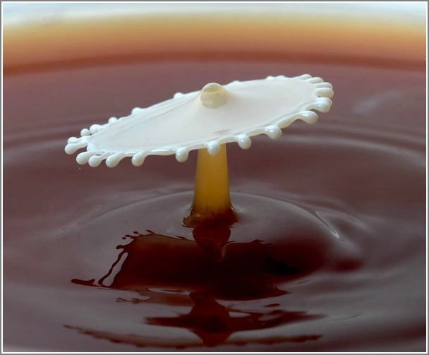 milk_drops_012.jpg