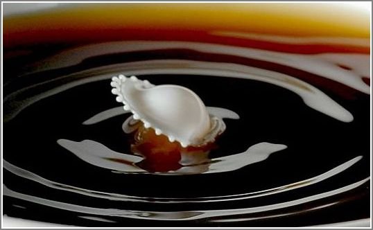 milk_drops_013.jpg