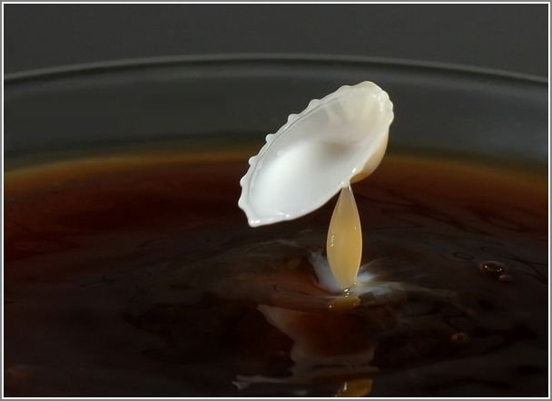 milk_drops_015.jpg