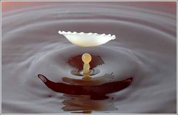 milk_drops_016.jpg