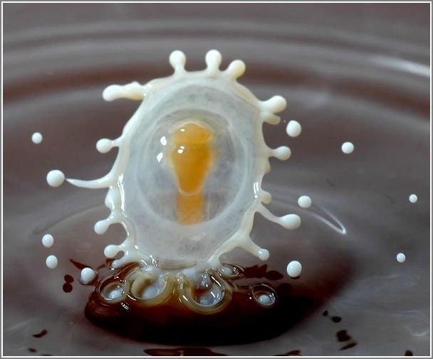 milk_drops_017.jpg