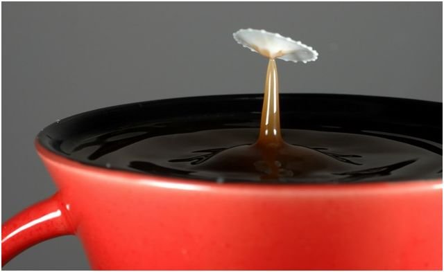 milk_drops_024.jpg