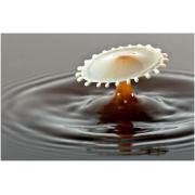 milk_drops_001.jpg