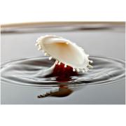 milk_drops_004.jpg