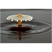 milk_drops_005.jpg