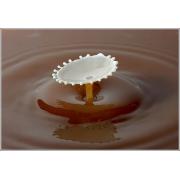 milk_drops_008.jpg