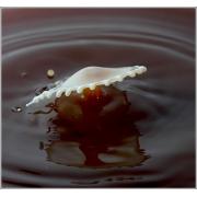 milk_drops_009.jpg
