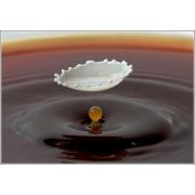 milk_drops_010.jpg