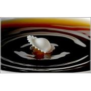 milk_drops_013.jpg