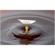 milk_drops_016.jpg