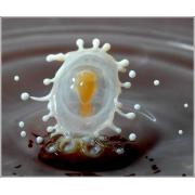 milk_drops_017.jpg