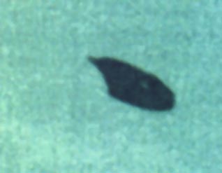 OVNI-ZOOM-8.jpg