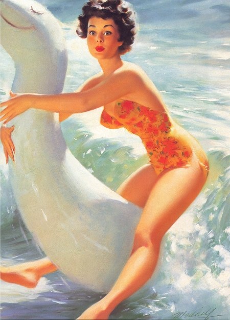 medcalf$surftoy.jpg
