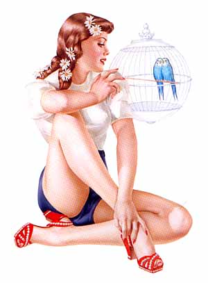 vargas$birdcage.jpg